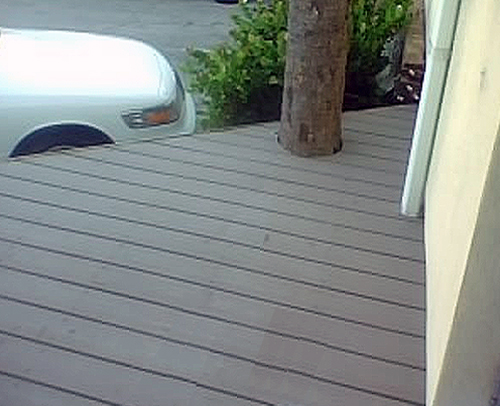 deck-around-tree